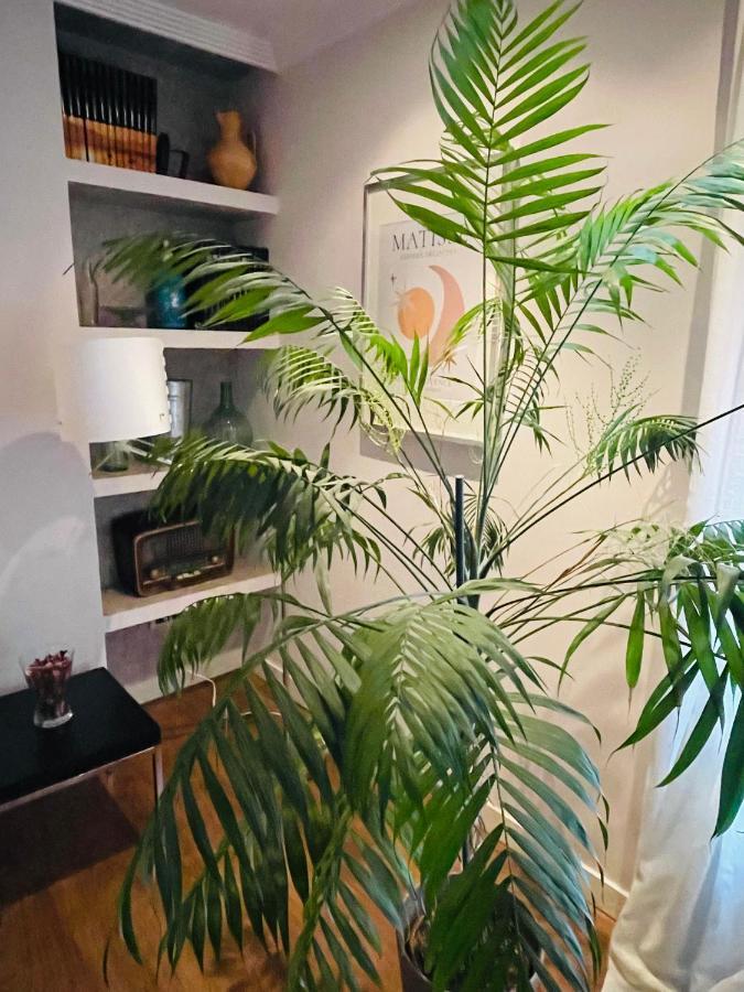 Appartement Casa Lola